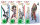 Knights & Magic DVD Bundle