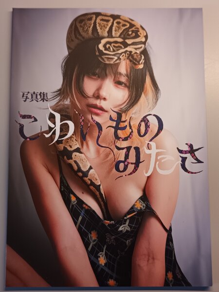 Artbook: Lisa Nito - Ich habe etwas Unheimliches gesehen (signiert)