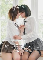 Artbook: Enako & Ami: Das Geheimnis der Hauskatzen