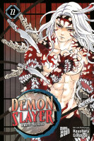 Demon Slayer 22