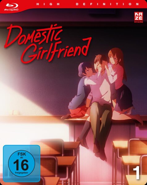 Domestic Girlfriend - BR 1