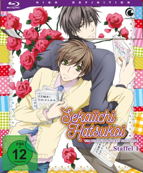 Sekaiichi Hatsukoi - BR 1.1 LE