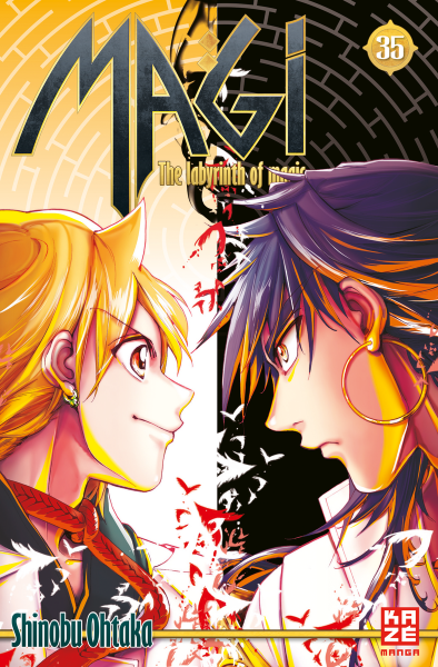 Magi - The Labyrinth of Magic 35