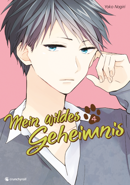 Mein wildes Geheimnis 04 (Finale)